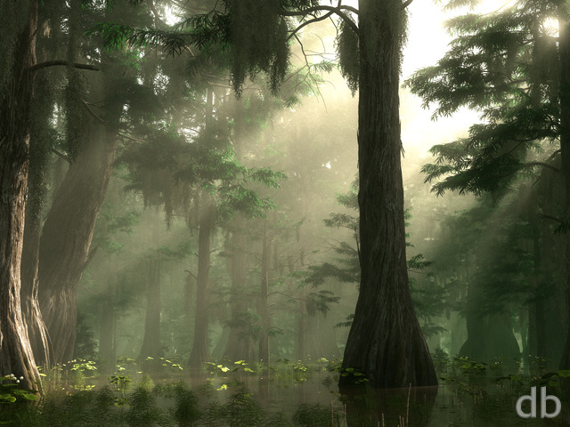 Summer Bayou