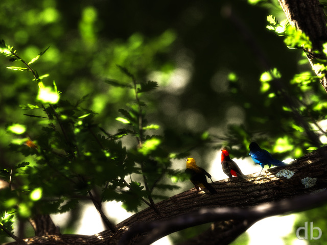 Three Little Birds