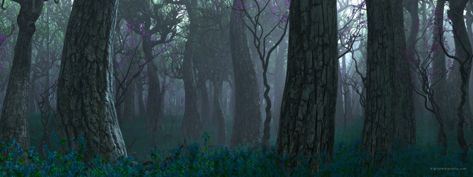 Bluebell Season: bluebellseason2 Dual