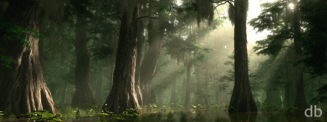 Summer Bayou Dual