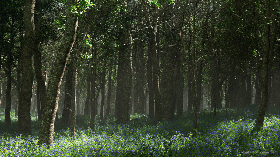 Morrow Grove (Bluebells)