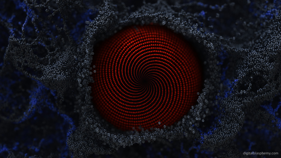 Primordium