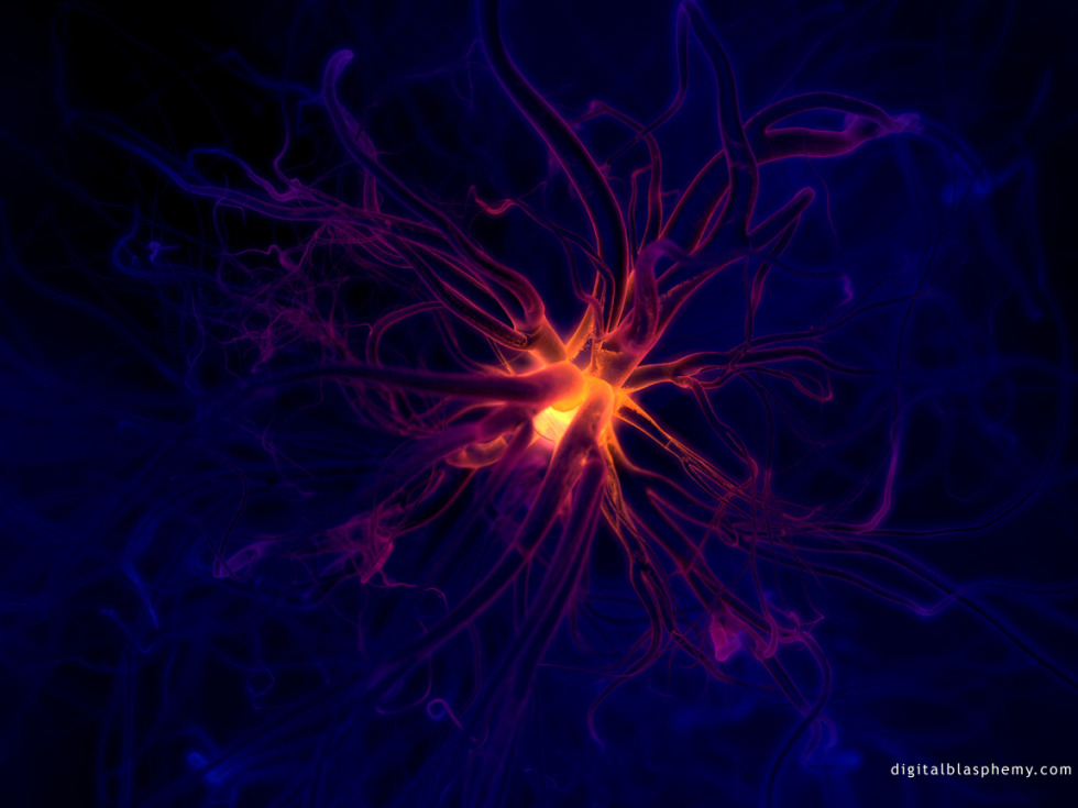 Neuron