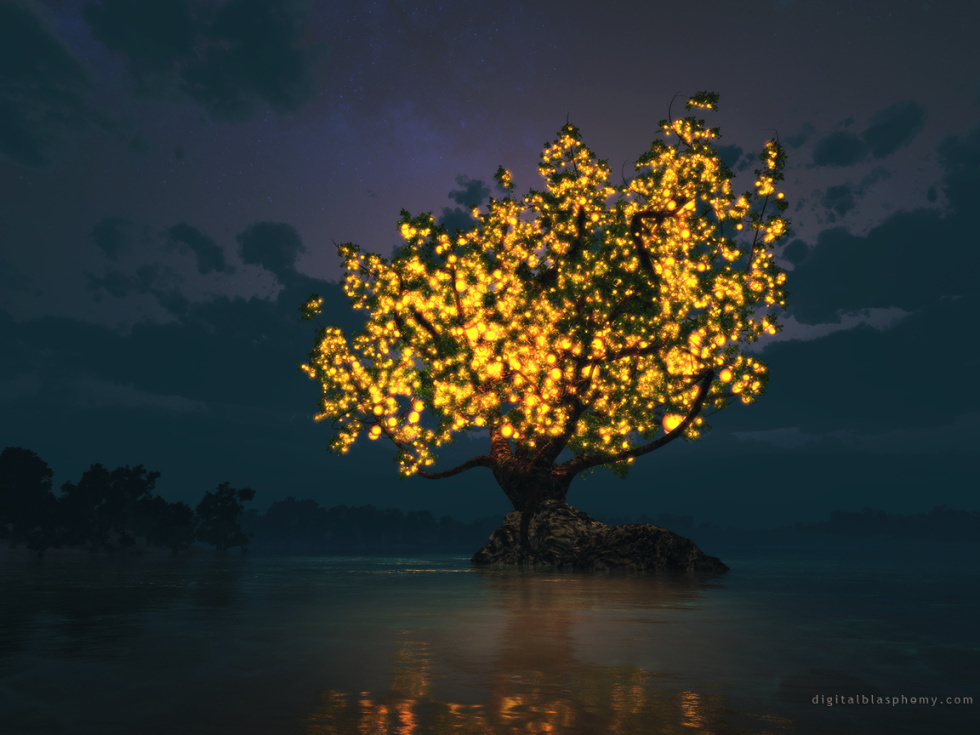 The Sunshine Tree: sunshinetree2